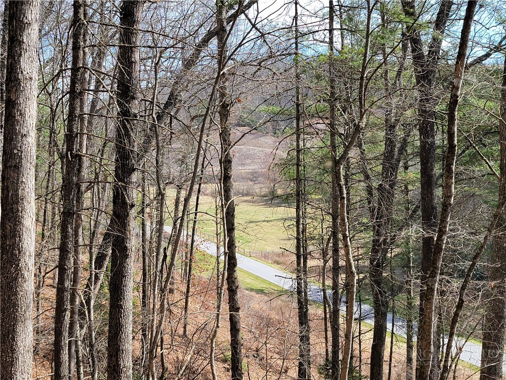 Tbd (lot 72) Creekside Meadows Drive Property Photo 2
