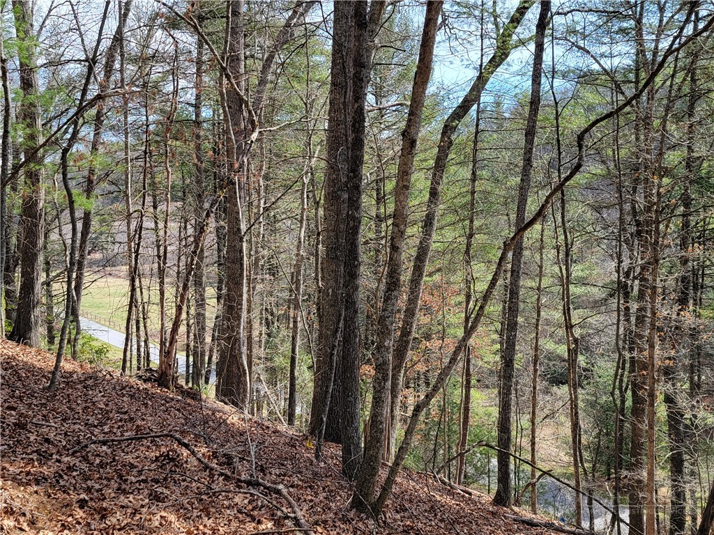 Tbd (lot 72) Creekside Meadows Drive Property Photo 3