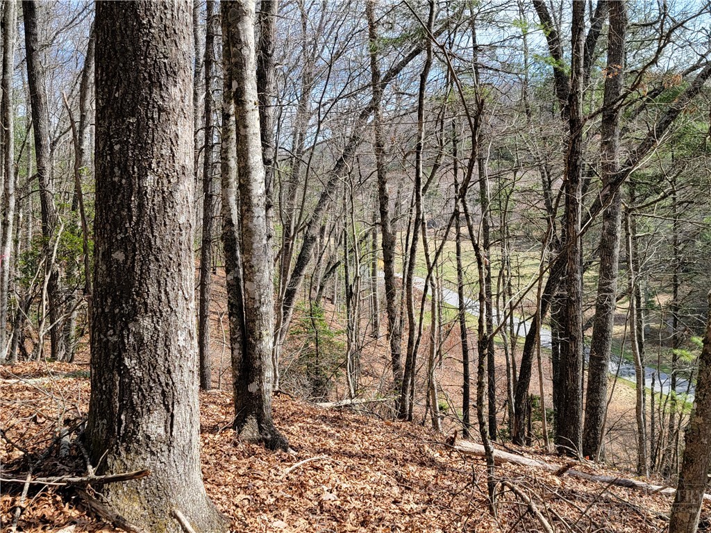 Tbd (lot 72) Creekside Meadows Drive Property Photo 4