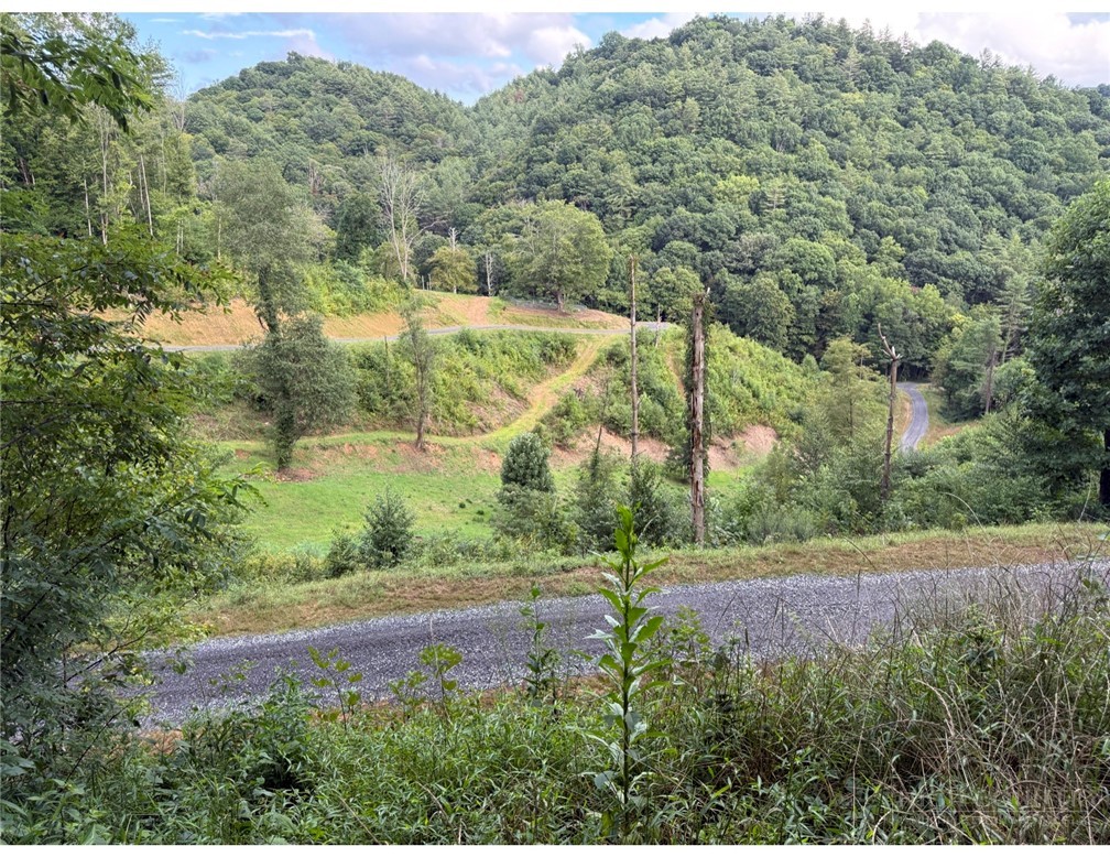 Lot 3 Horseshoe Trail Property Photo 1