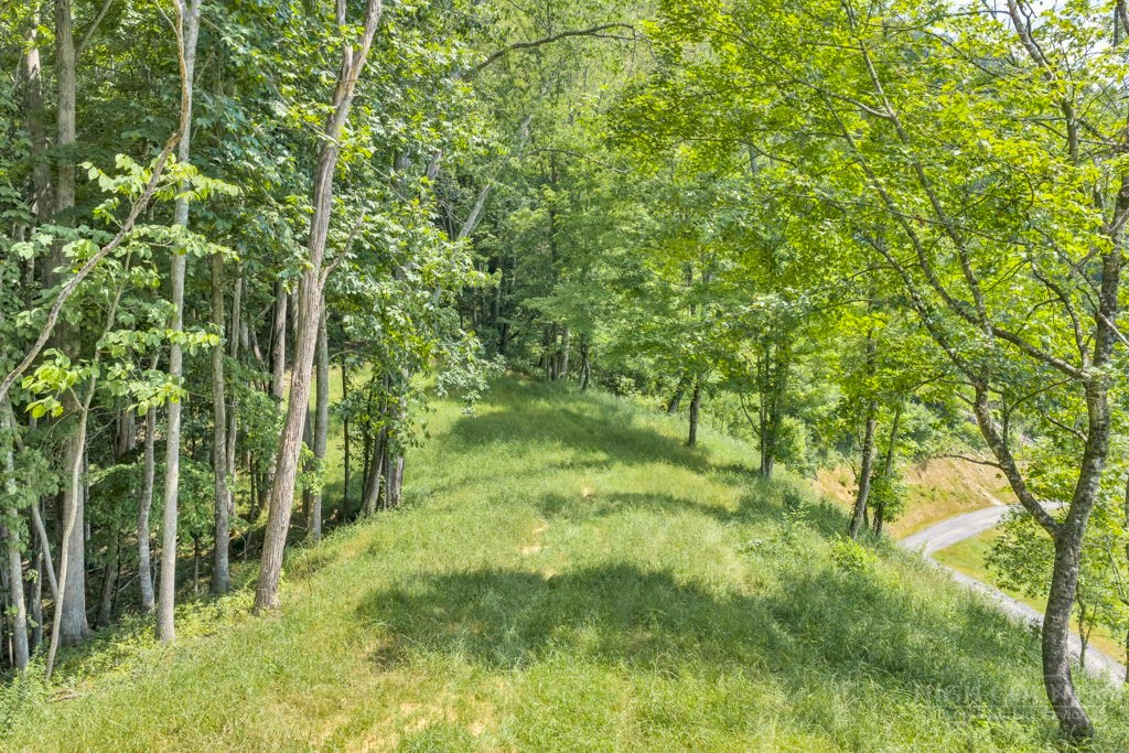Lot 3 Horseshoe Trail Property Photo 2