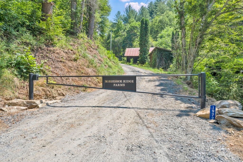 Lot 3 Horseshoe Trail Property Photo 3