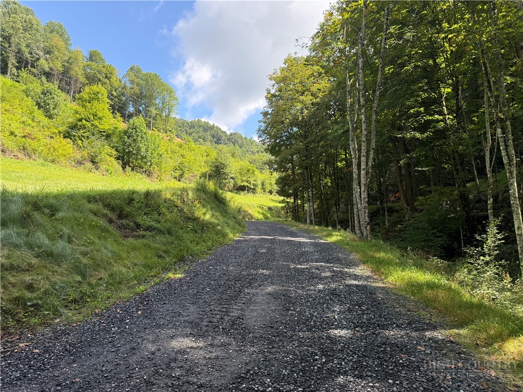 Lot 3 Horseshoe Trail Property Photo 4