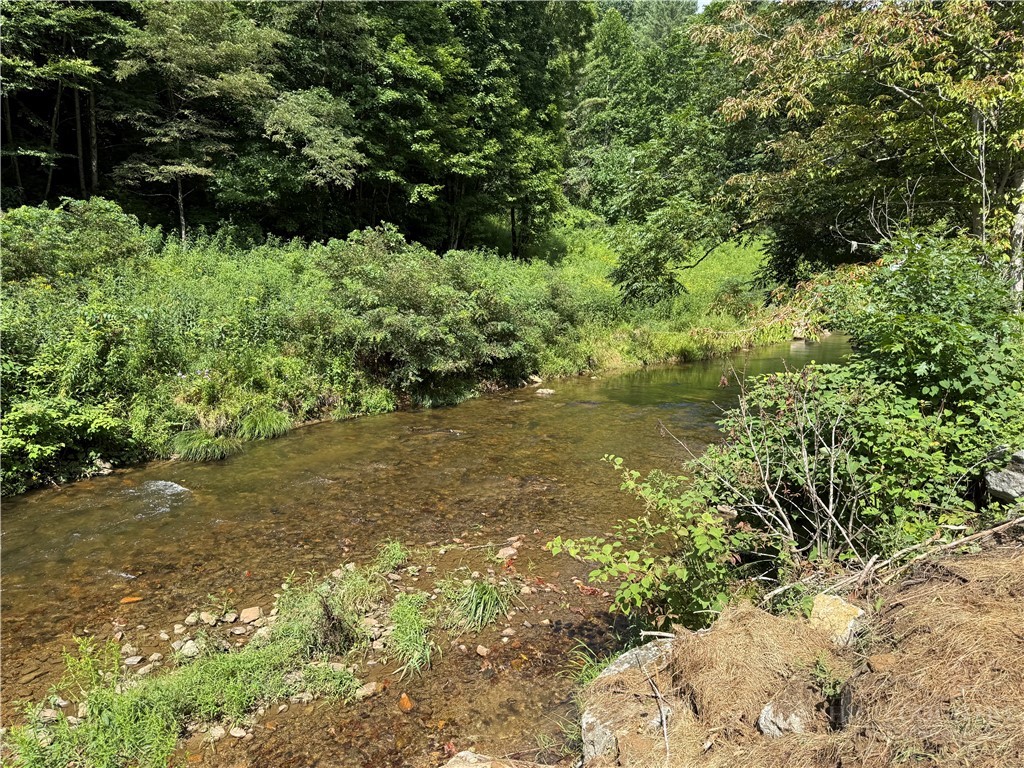 Lot 3 Horseshoe Trail Property Photo 5