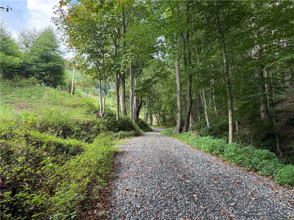 Lot 3 Horseshoe Trail Property Photo 6