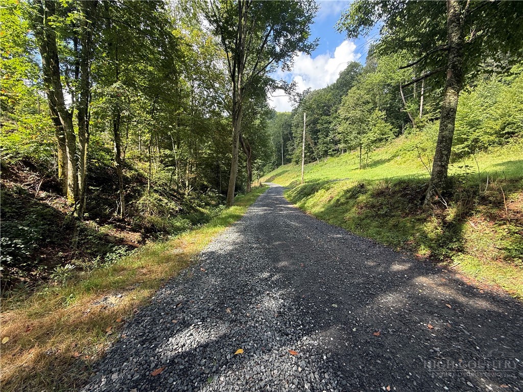 Lot 3 Horseshoe Trail Property Photo 8