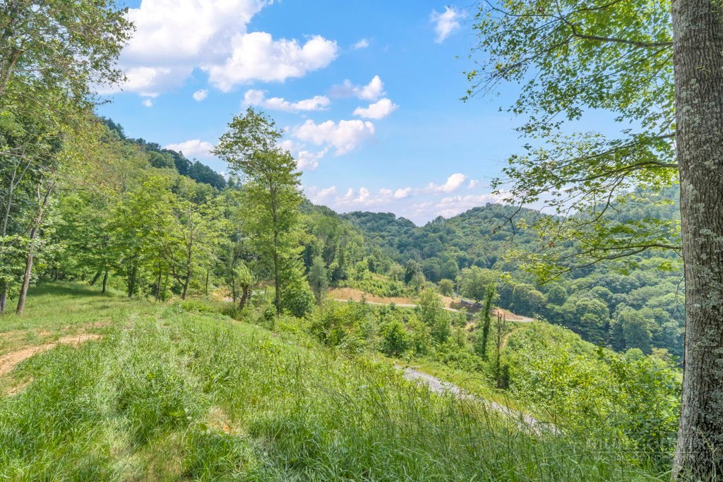 Lot 3 Horseshoe Trail Property Photo 9