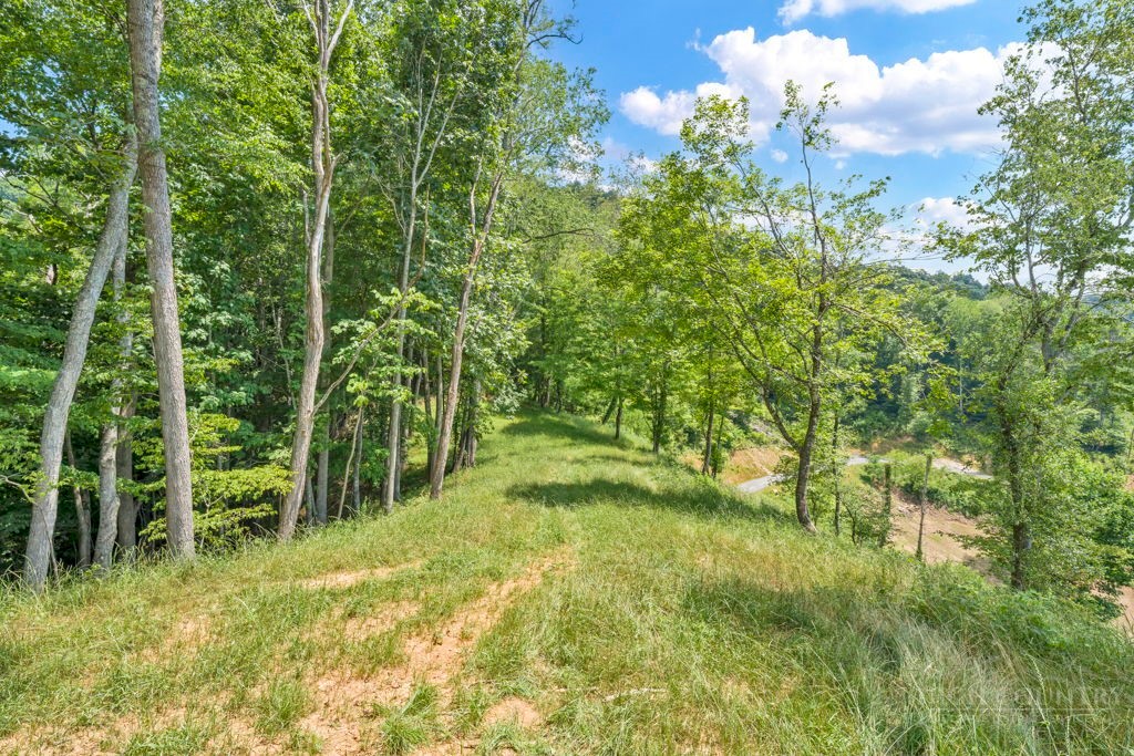 Lot 3 Horseshoe Trail Property Photo 10