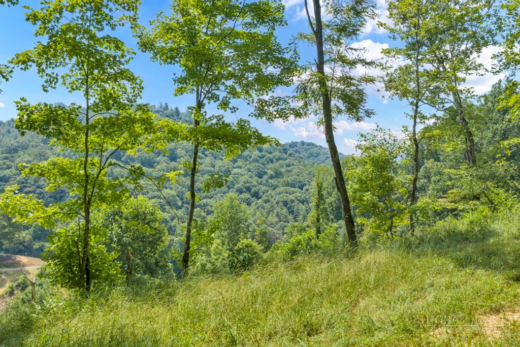 Lot 3 Horseshoe Trail Property Photo 11