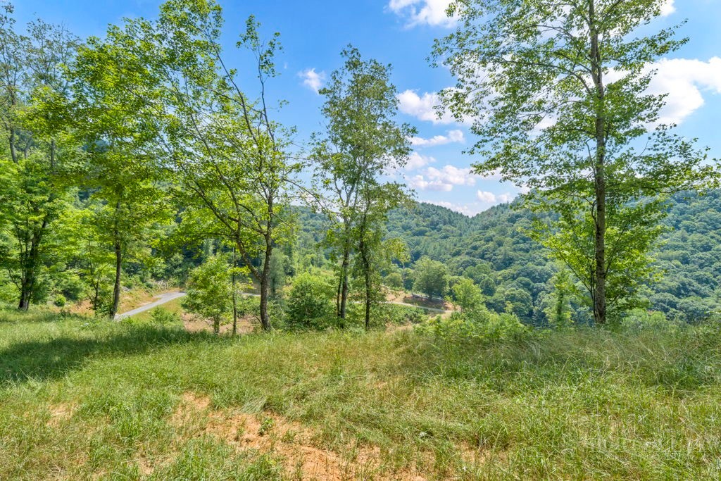 Lot 3 Horseshoe Trail Property Photo 12