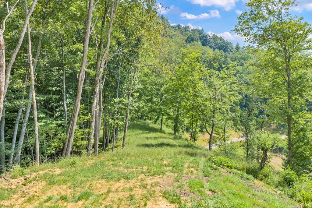 Lot 3 Horseshoe Trail Property Photo 13