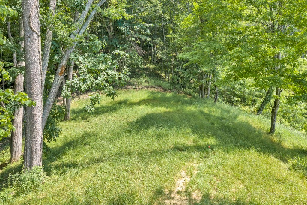 Lot 3 Horseshoe Trail Property Photo 14