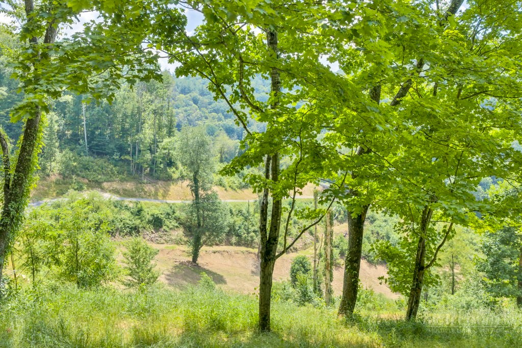 Lot 3 Horseshoe Trail Property Photo 15