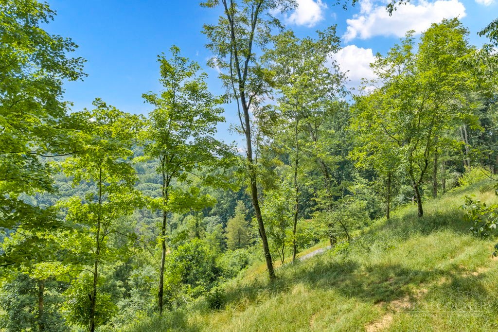 Lot 3 Horseshoe Trail Property Photo 16