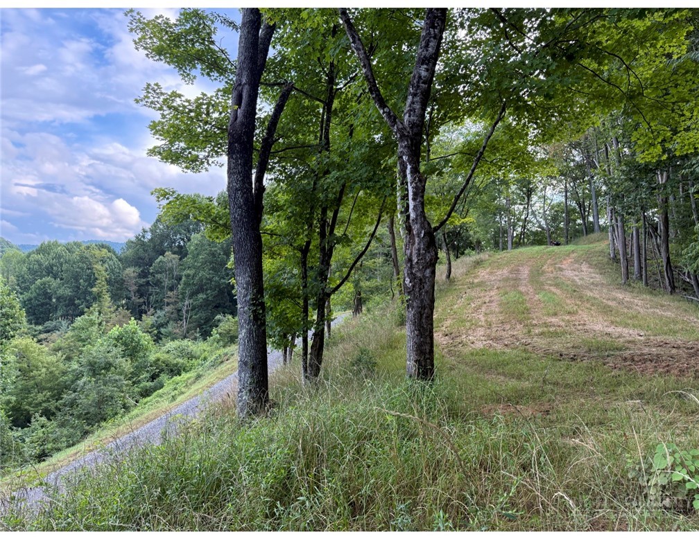 Lot 3 Horseshoe Trail Property Photo 17