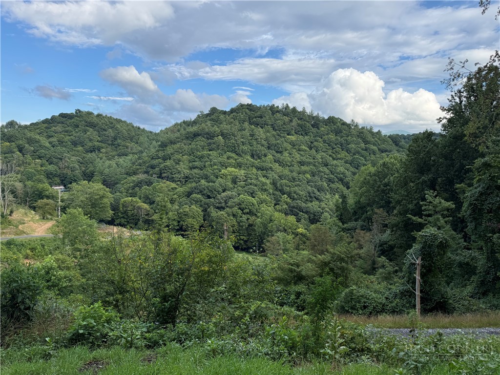 Lot 3 Horseshoe Trail Property Photo 18