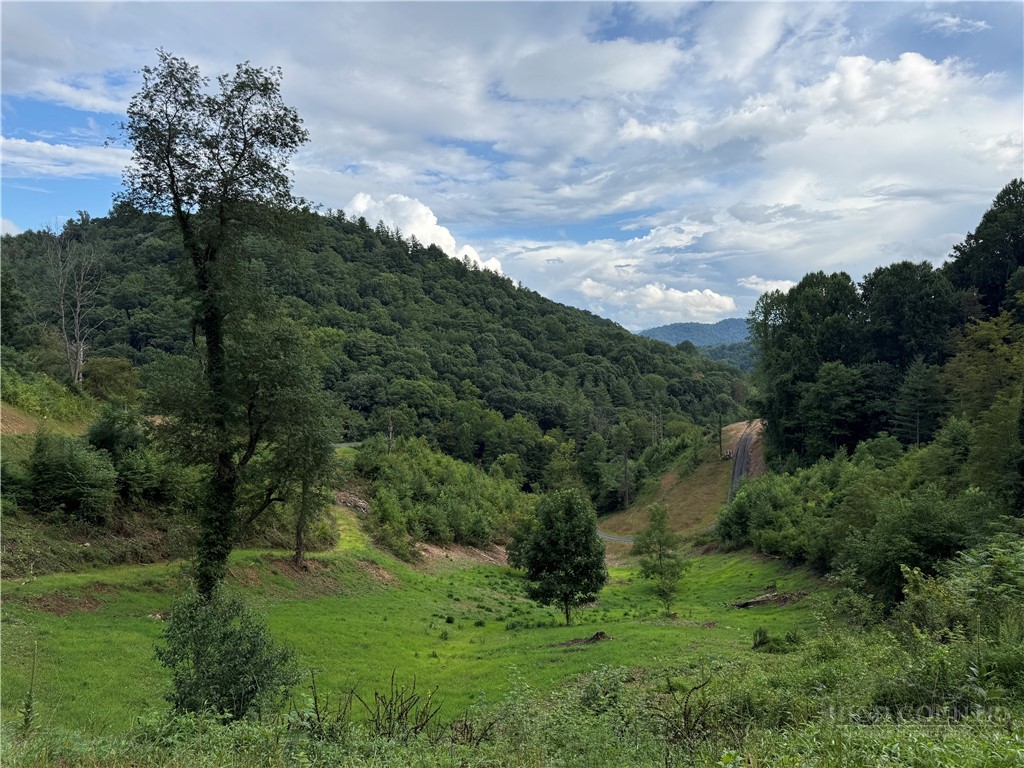 Lot 3 Horseshoe Trail Property Photo 19