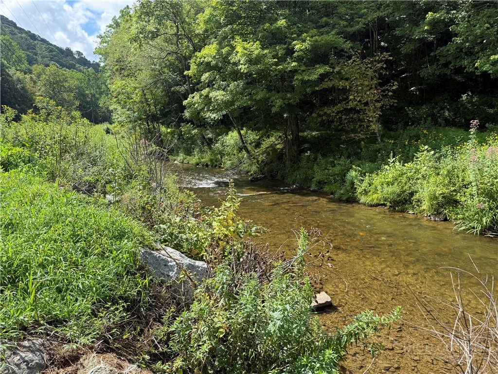 Lot 3 Horseshoe Trail Property Photo 21
