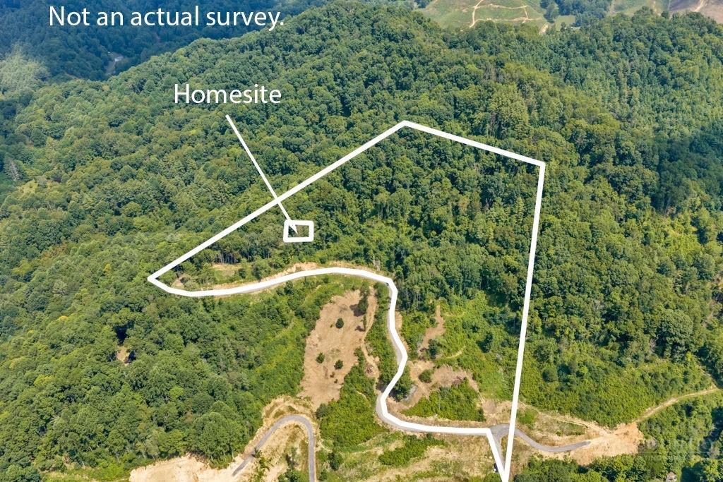 Lot 3 Horseshoe Trail Property Photo 22