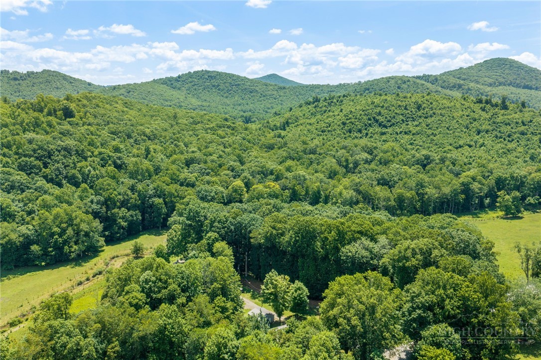 129 Troys Trail Property Photo 43