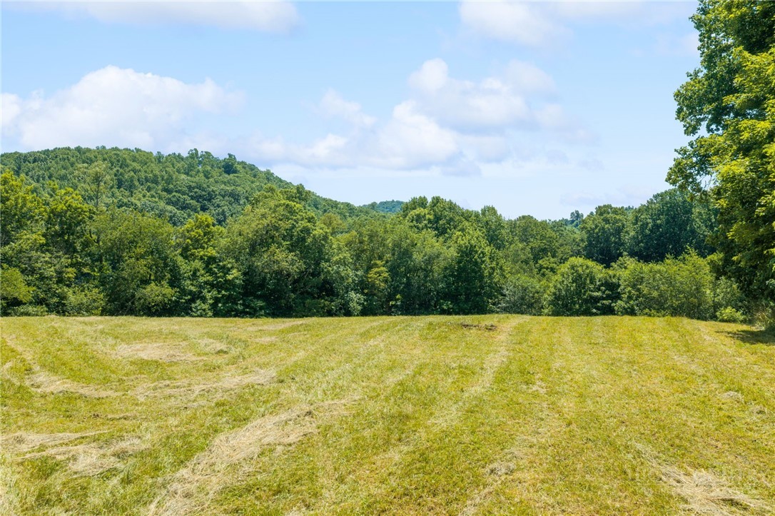 129 Troys Trail Property Photo 46