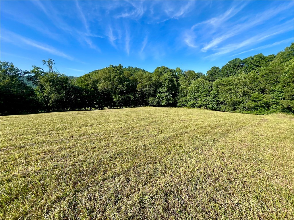 129 Troys Trail Property Photo 50