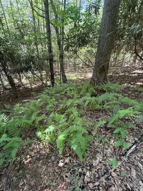 Tbd Lot 20 High Meadows Lane Property Photo 1