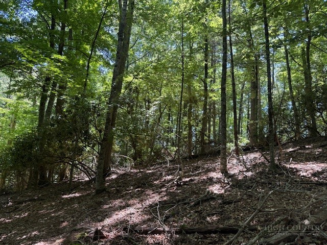 Tbd Lot 20 High Meadows Lane Property Photo 2