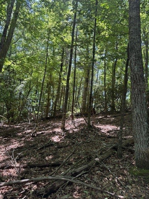 Tbd Lot 20 High Meadows Lane Property Photo 3