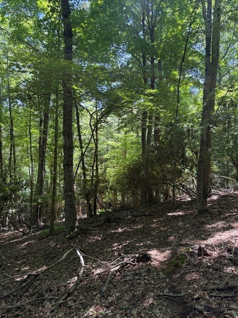 Tbd Lot 20 High Meadows Lane Property Photo 4