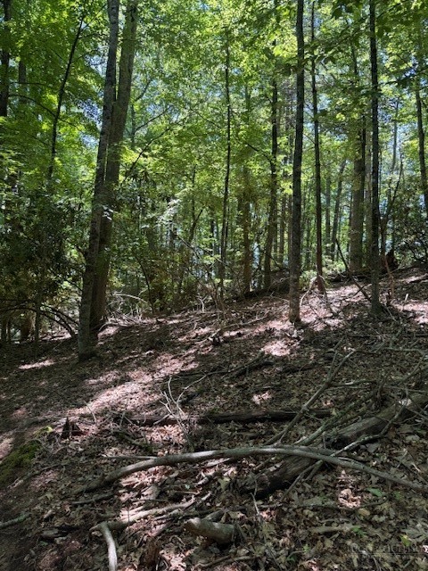 Tbd Lot 20 High Meadows Lane Property Photo 5