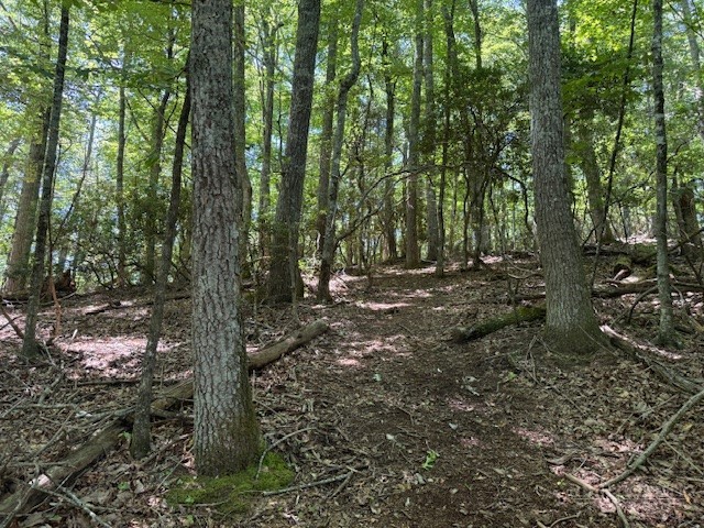 Tbd Lot 20 High Meadows Lane Property Photo 6