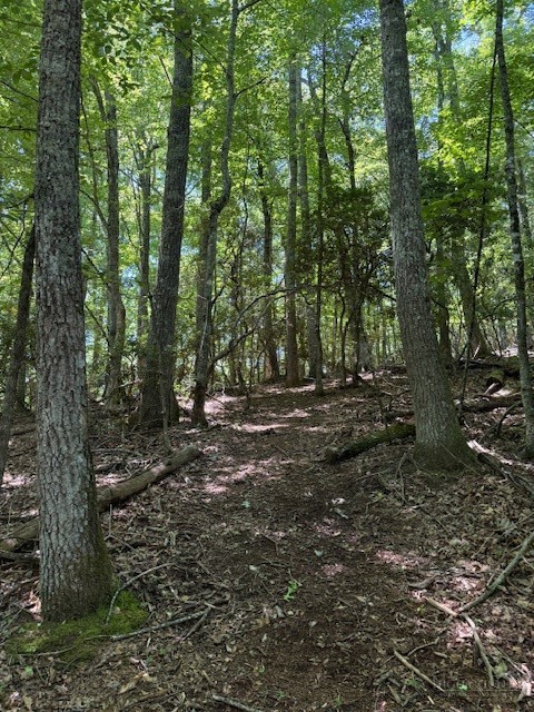 Tbd Lot 20 High Meadows Lane Property Photo 7