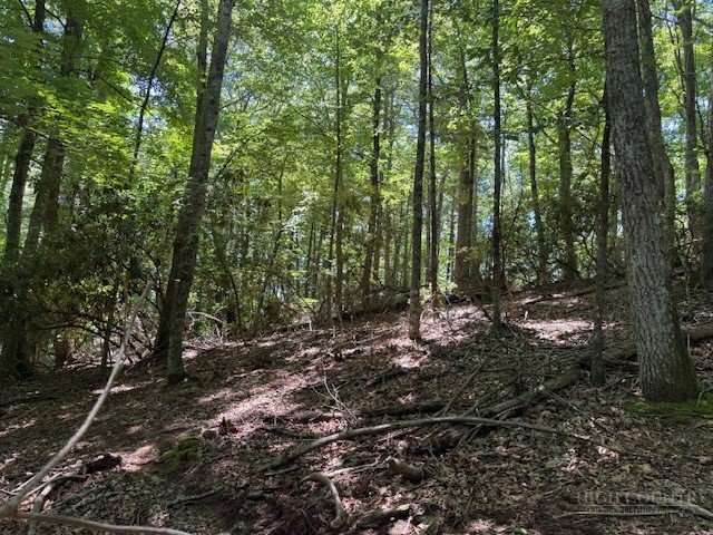 Tbd Lot 20 High Meadows Lane Property Photo 8