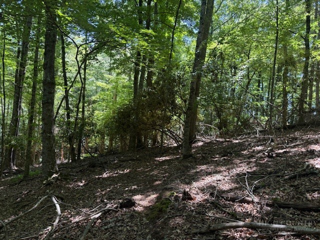 Tbd Lot 20 High Meadows Lane Property Photo 9