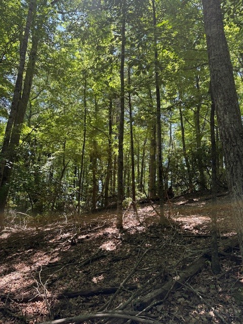 Tbd Lot 20 High Meadows Lane Property Photo 10