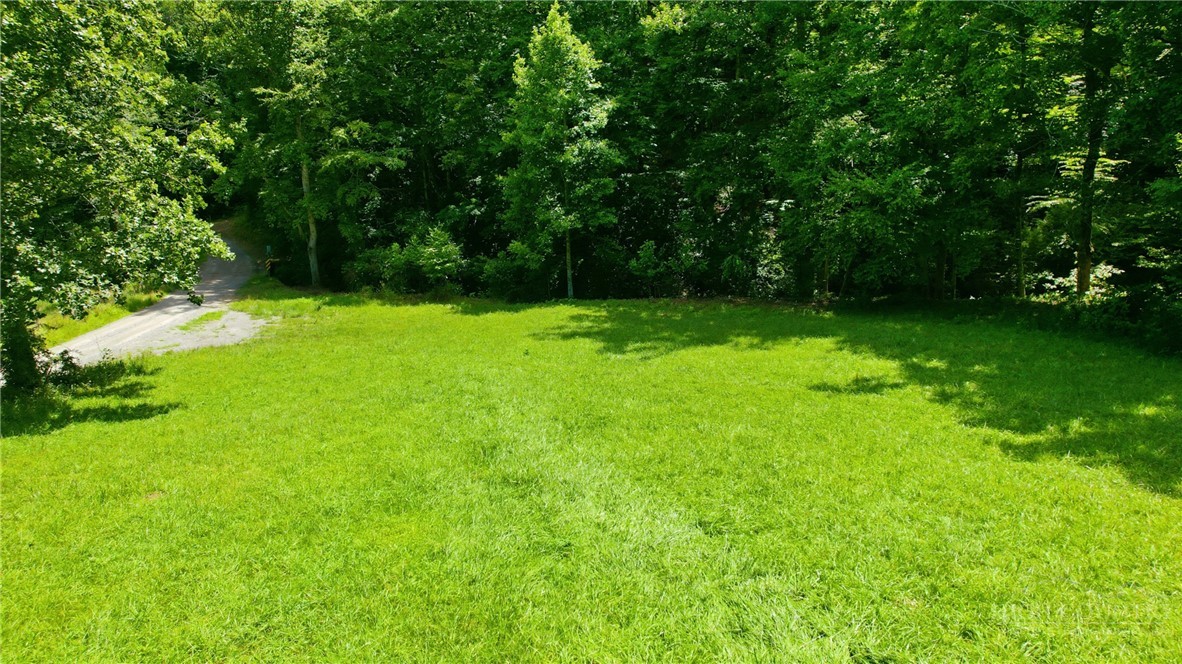 Tbd Big Ivy Road Property Photo 4