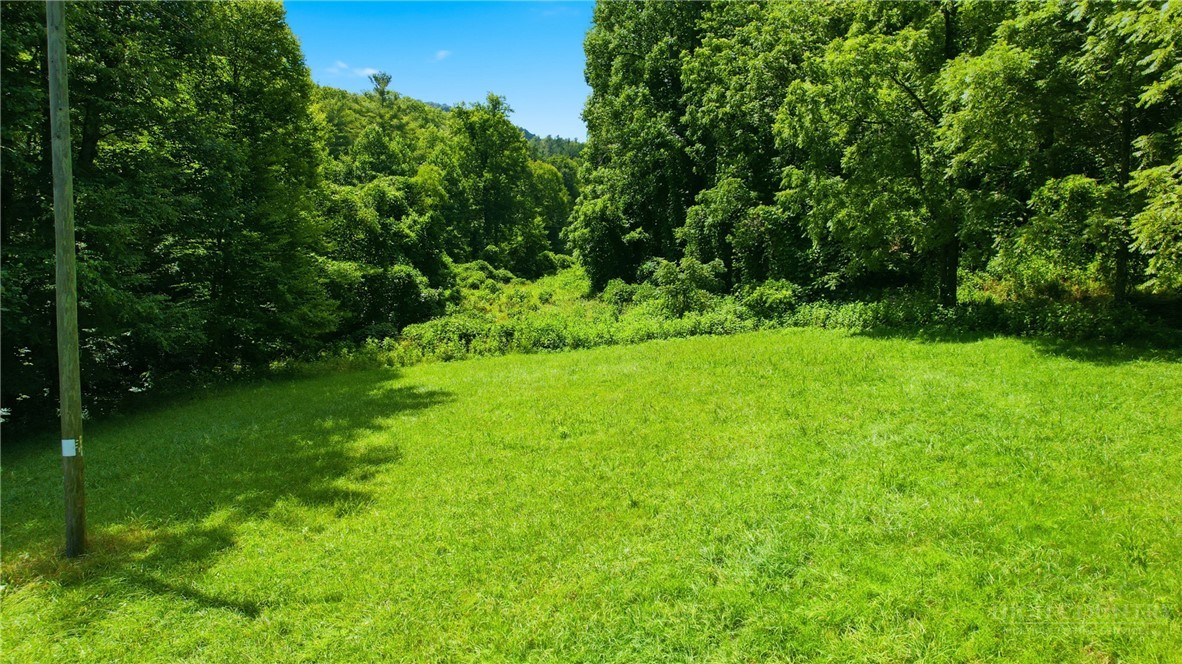 Tbd Big Ivy Road Property Photo 19