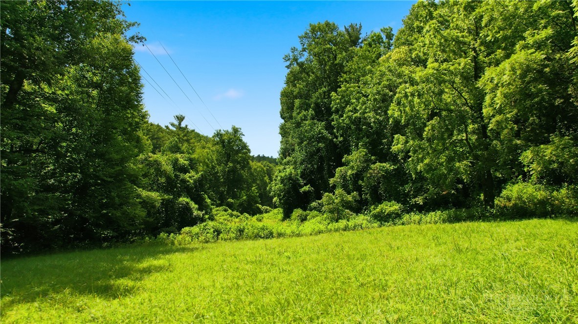 Tbd Big Ivy Road Property Photo 20