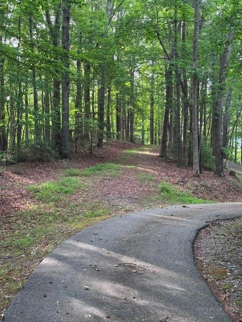 190 Wagon Ridge Lane Property Photo 9