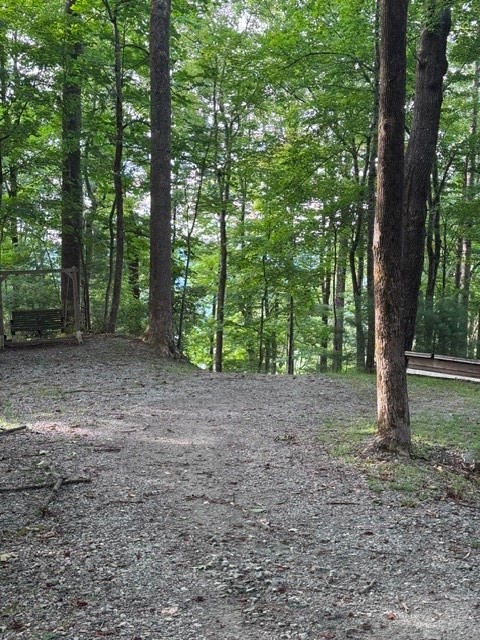 190 Wagon Ridge Lane Property Photo 10