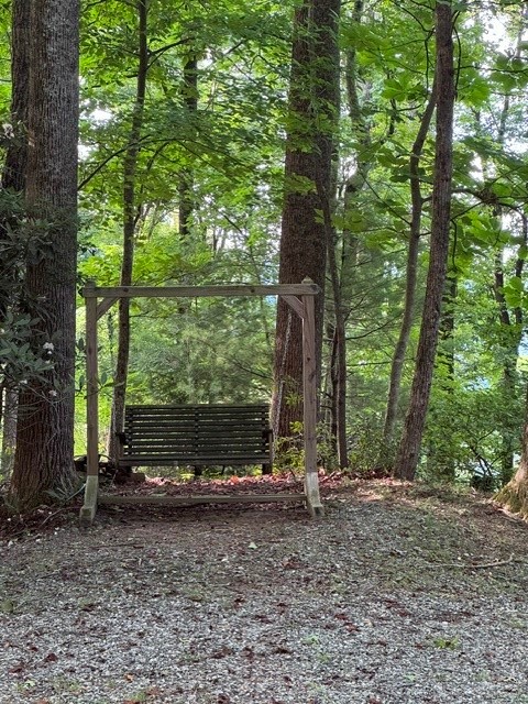 190 Wagon Ridge Lane Property Photo 11