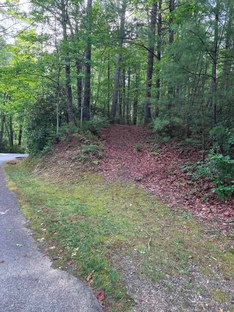 190 Wagon Ridge Lane Property Photo 14