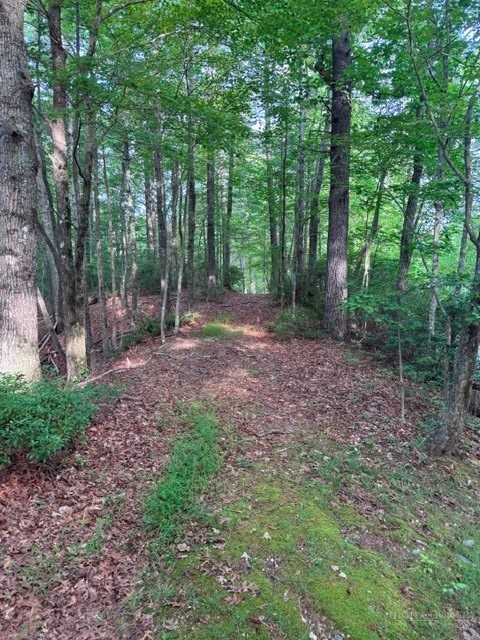 190 Wagon Ridge Lane Property Photo 15