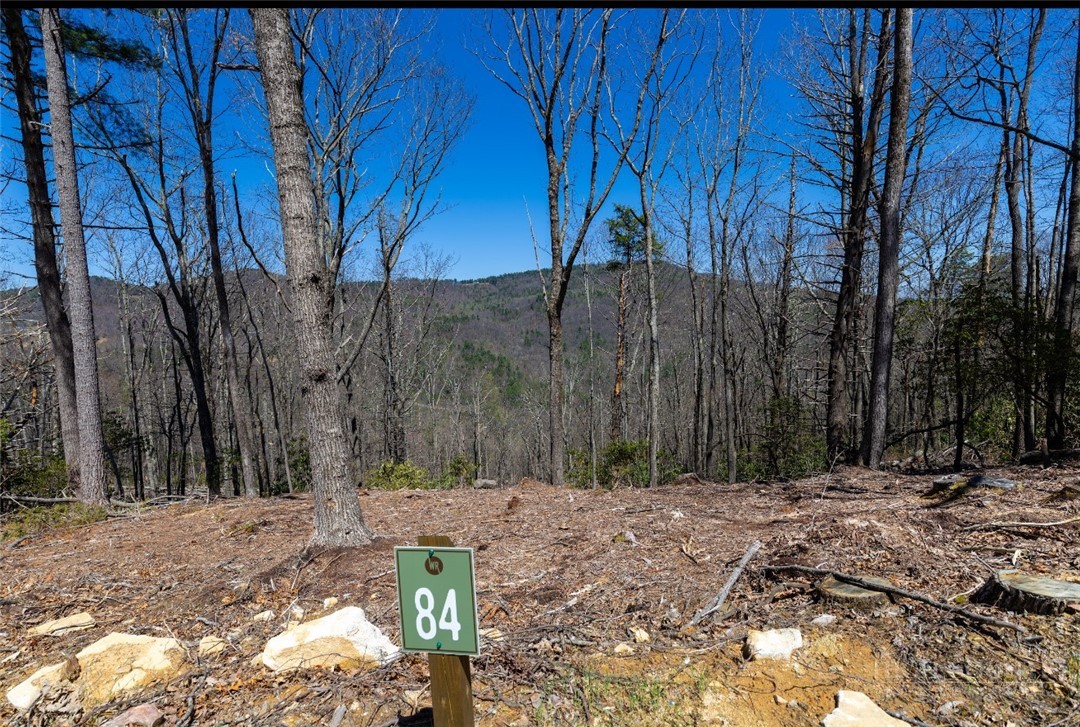 84 Eagle Watch Circle Property Photo 4