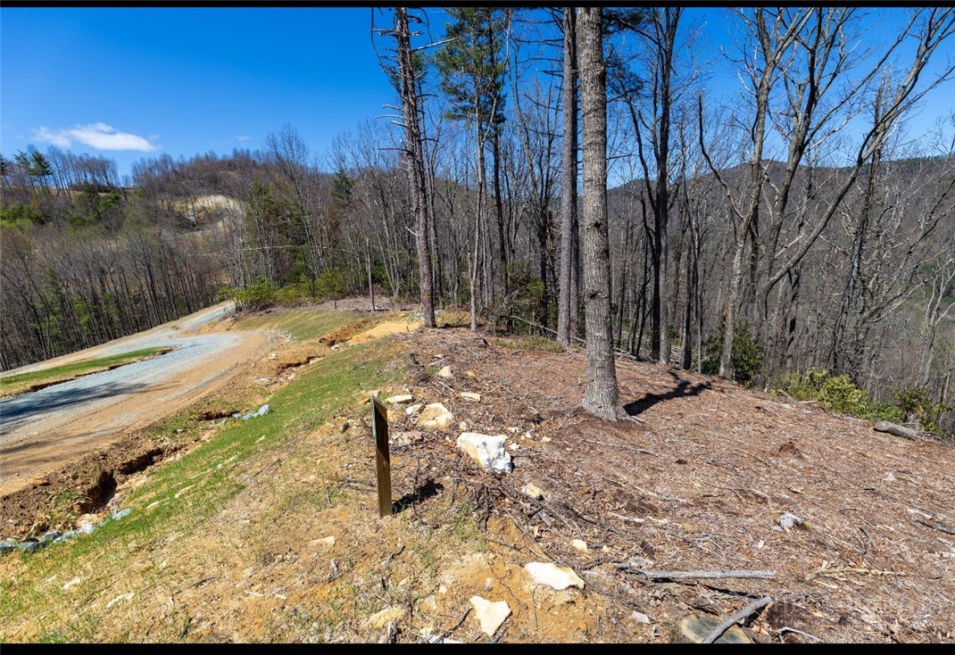 84 Eagle Watch Circle Property Photo 5