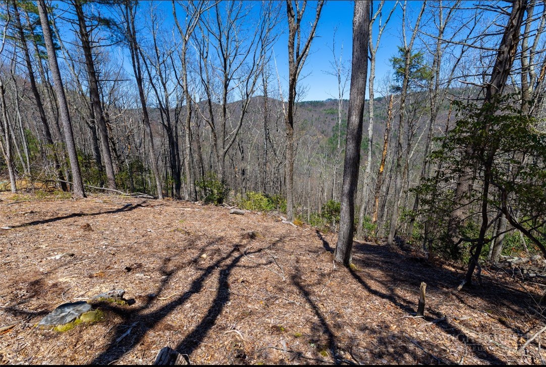 84 Eagle Watch Circle Property Photo 6