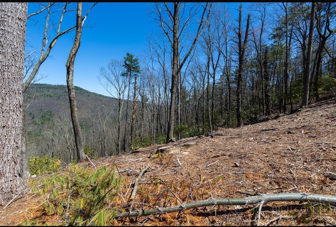 84 Eagle Watch Circle Property Photo 8