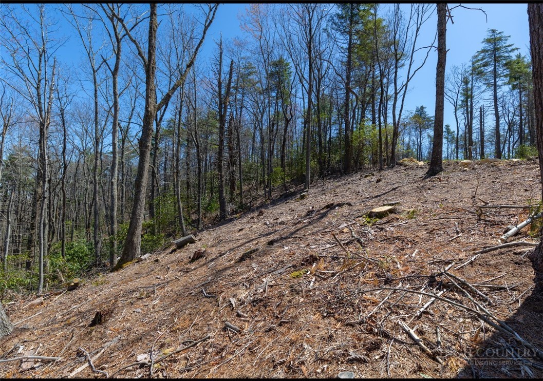 84 Eagle Watch Circle Property Photo 9