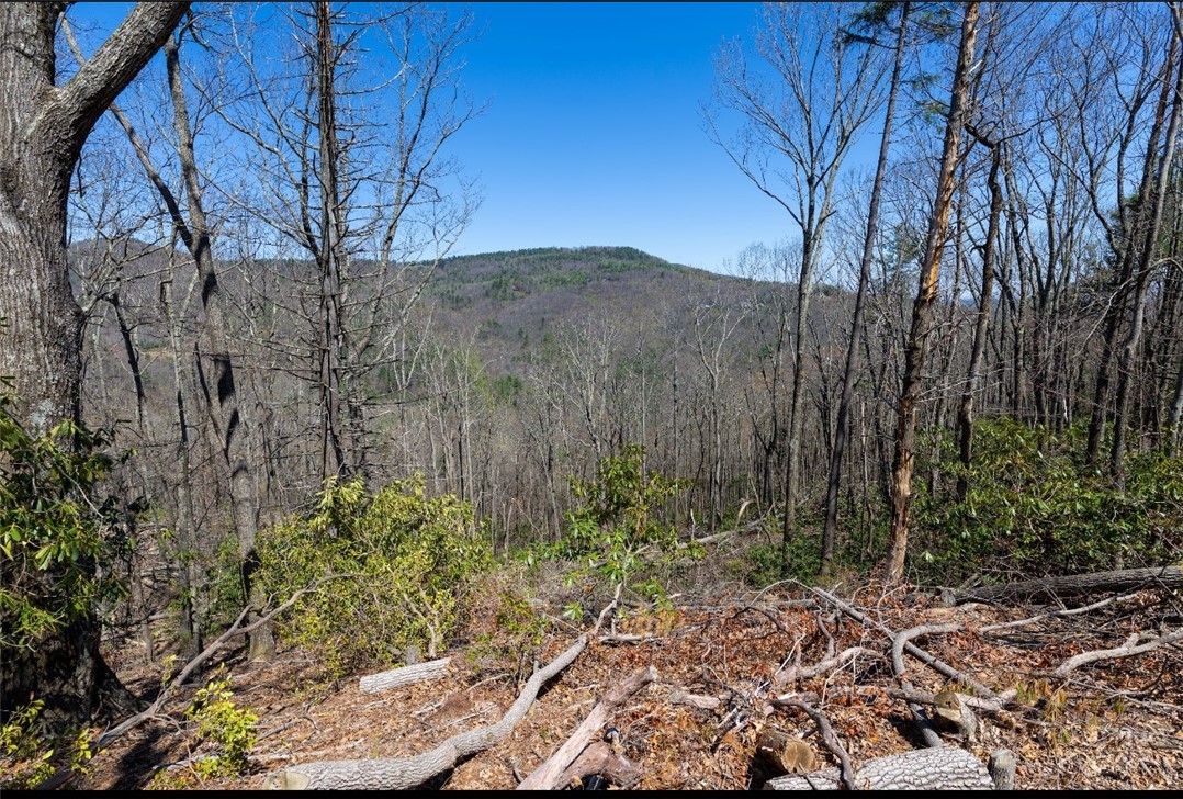 84 Eagle Watch Circle Property Photo 10